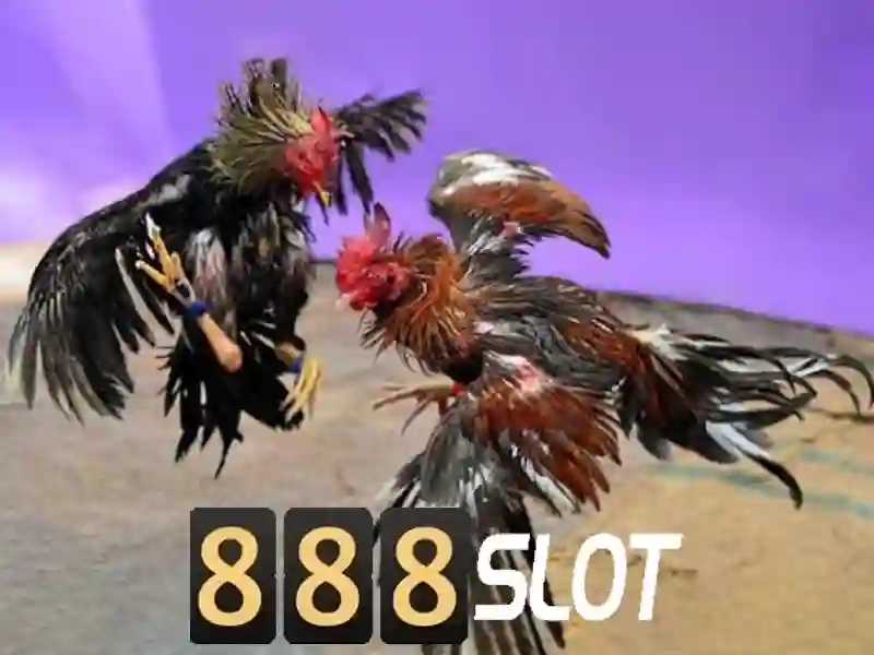 Tại Sao Nên Chọn 888slot