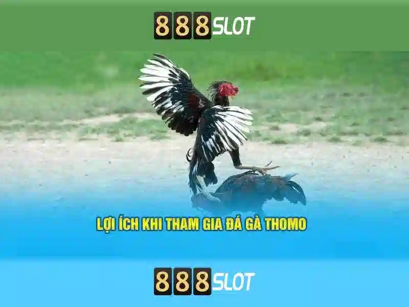 Tại Sao Chọn 888SLOT