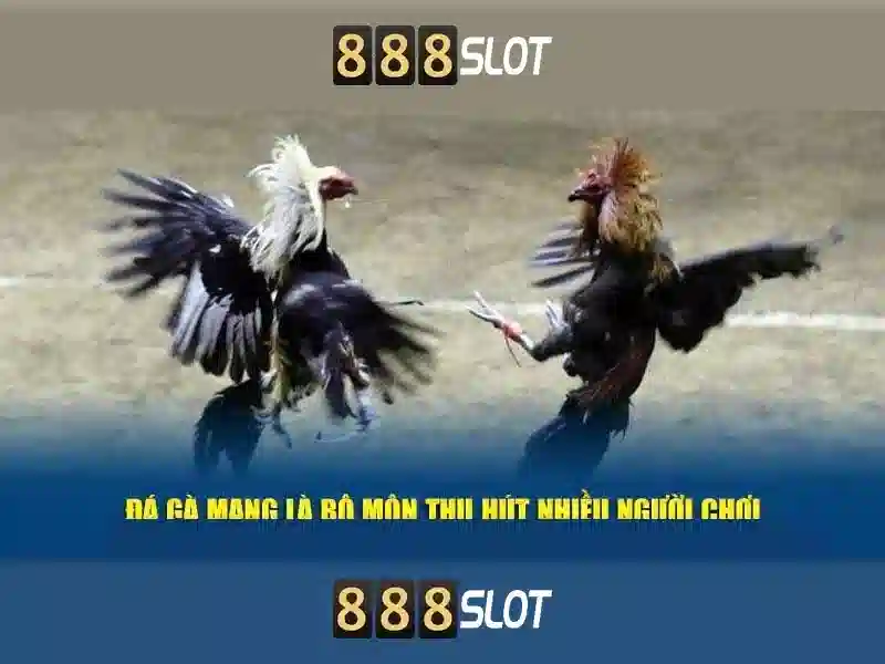Khuyến Mãi Slot 888SLOT