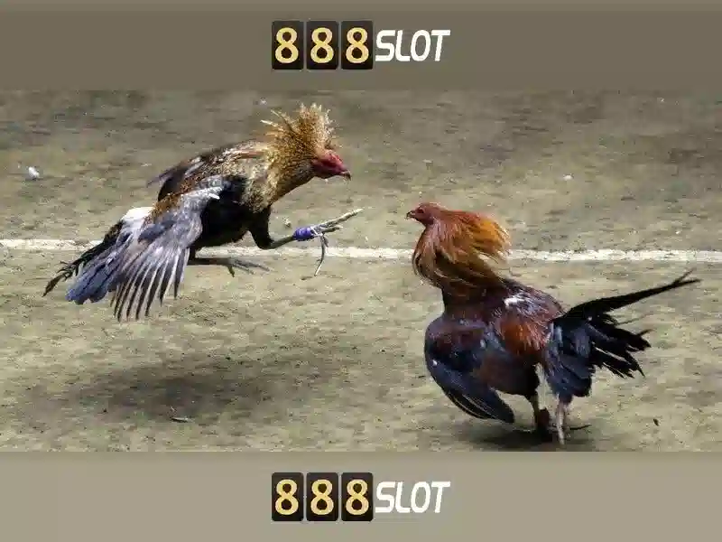 Trang Chủ 888SLOT