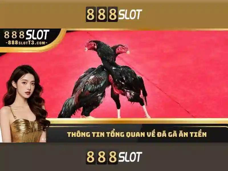 888SLOT – Trang Chủ Casino Online 2026 Với Trải Nghiệm Tối Ưu
