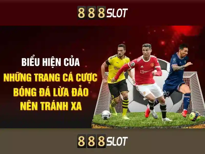 Đặc Điểm Nổi Bật