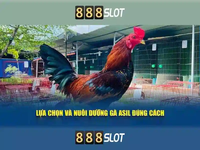 Trải nghiệm slot đỉnh cao