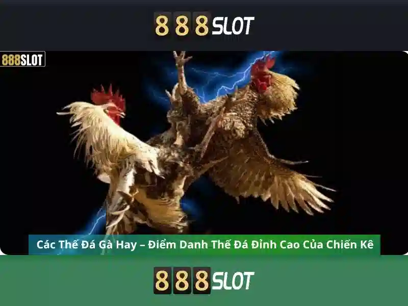 Các Loại Trò Chơi Slot Được Ưu Tiên
