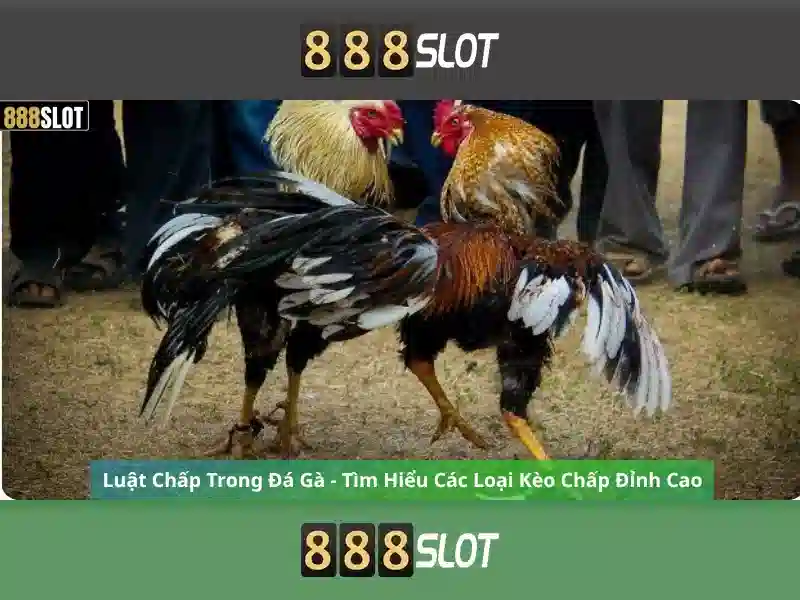 Slot 888SLOT