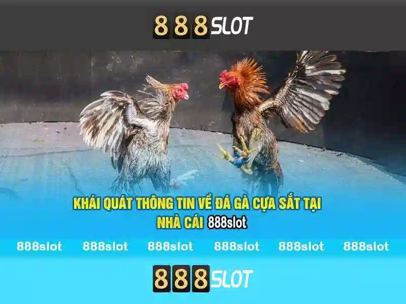 Trend Tags Nổi Bật