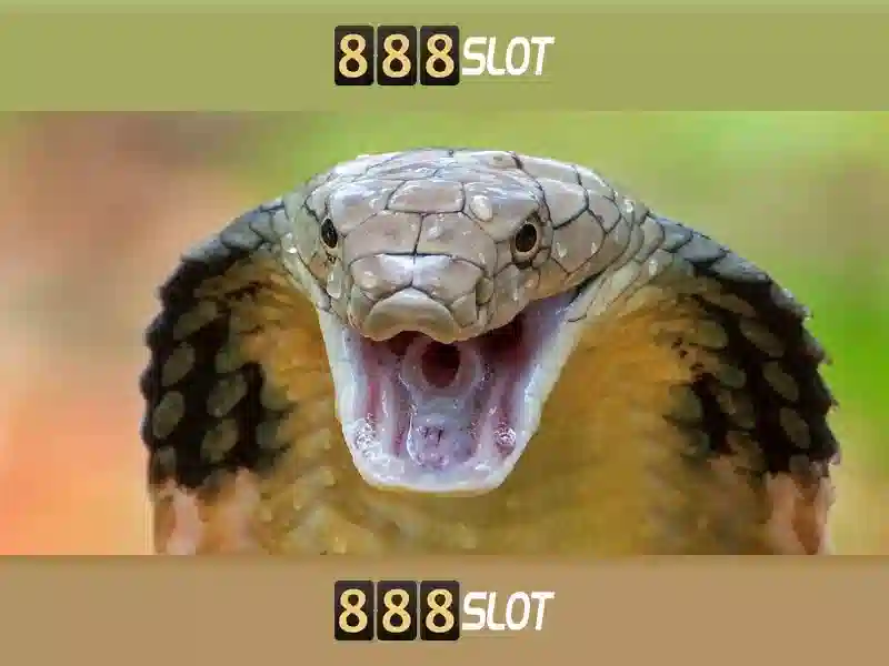 Giới Thiệu Về 888SLOT