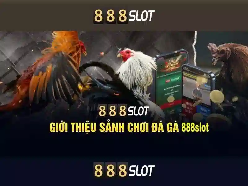 888SLOT – Trang Chủ Casino Trực Tuyến Số 1 Việt Nam 2026
