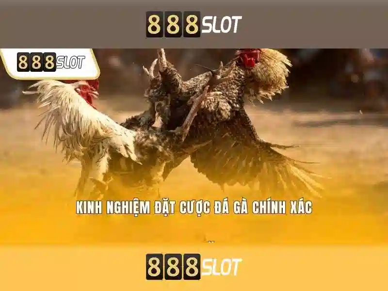 Chọn Loại Tài Khoản Slot Phù Hợp