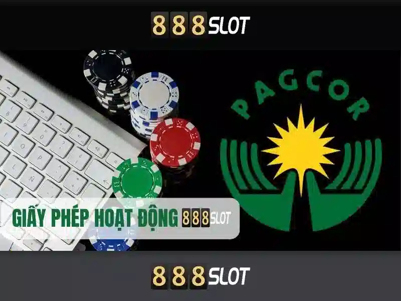 Hỗ Trợ 24/7