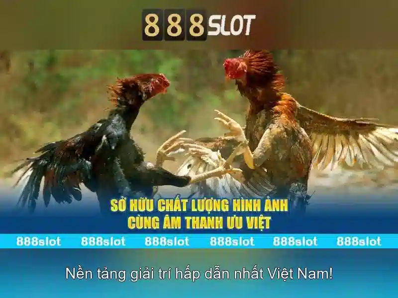 Trải nghiệm Slot Game 888SLOT