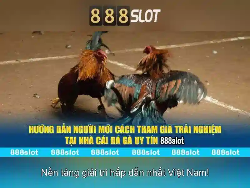 trải nghiệm cá cược