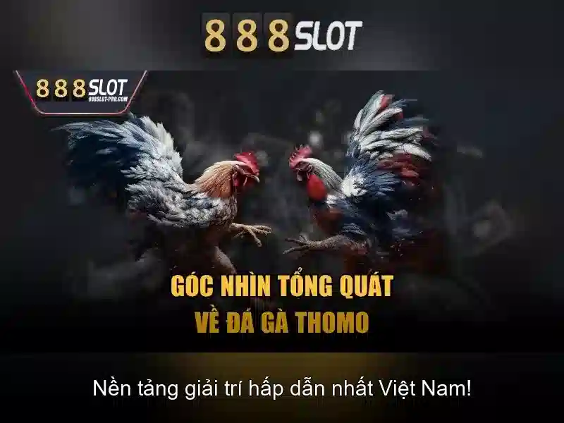 Cách chơi slot