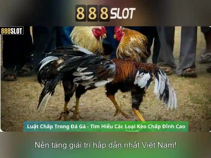 Trải nghiệm cá cược đỉnh cao
