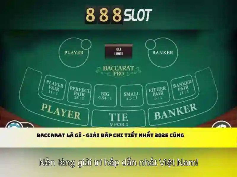 Nhập Thông Tin Đăng Ký Slot