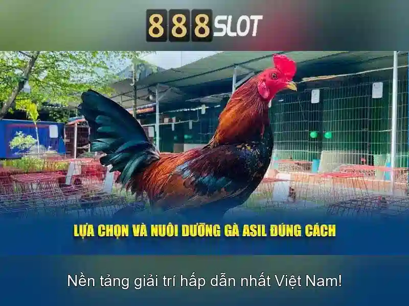 Chương Trình Ưu Đãi 888slot