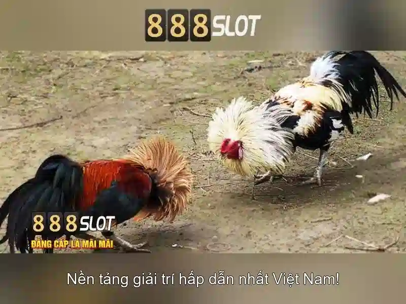 Công Nghệ Đỉnh Cao – Đảm Bảo Trải Nghiệm Tối Ưu