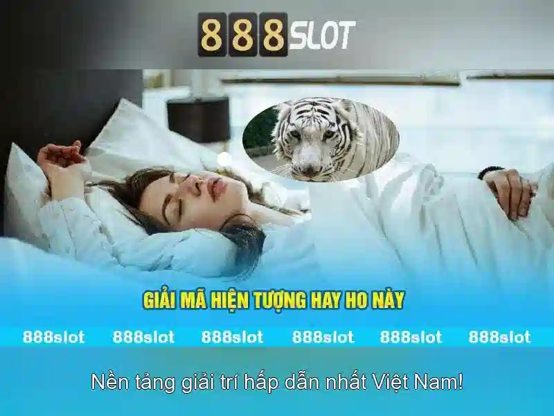 Ưu Đãi Cho Đại Lý Hợp Tác