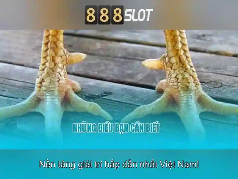Ưu Đãi Đặc Biệt – Tận Hưởng Trải Nghiệm Độc Quyền
