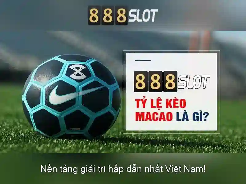 Đặc Điểm Nổi Bật