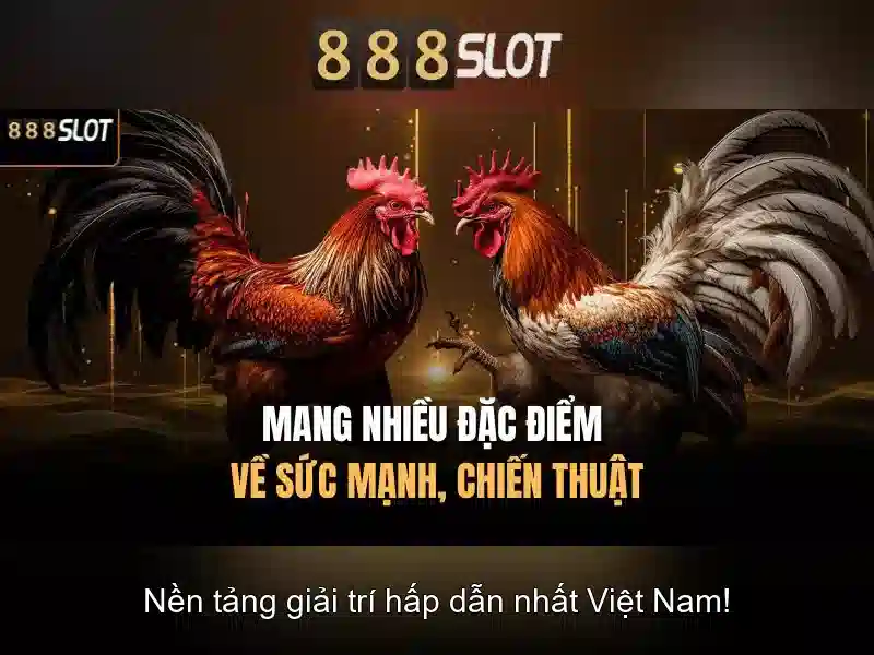 888SLOT – Trải Nghiệm Slot Đỉnh Cao Với Barca 888slot