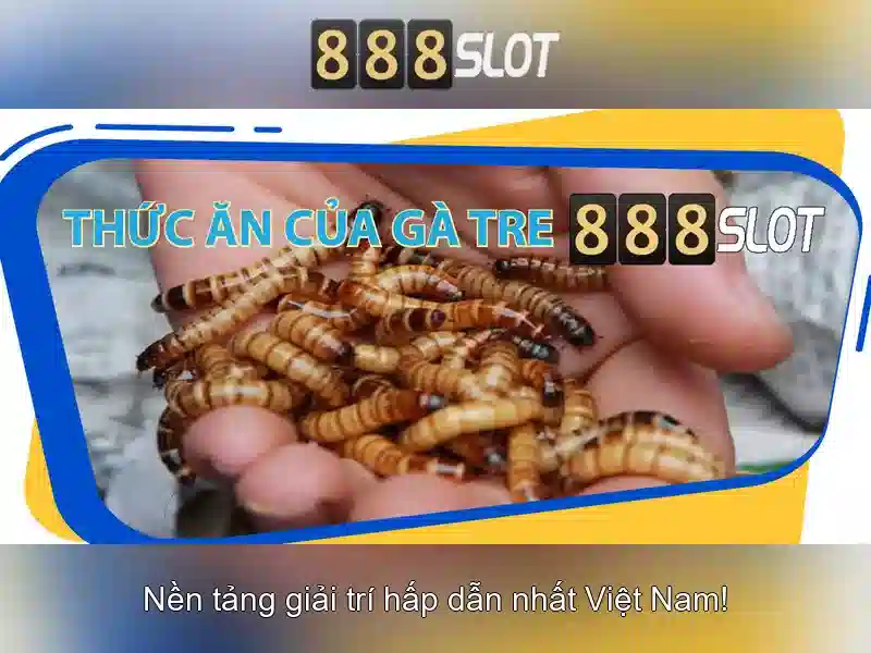 Trải Nghiệm Slot Đỉnh Cao Với 888slot Login App