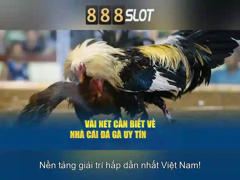 Tính Năng Nổi Bật